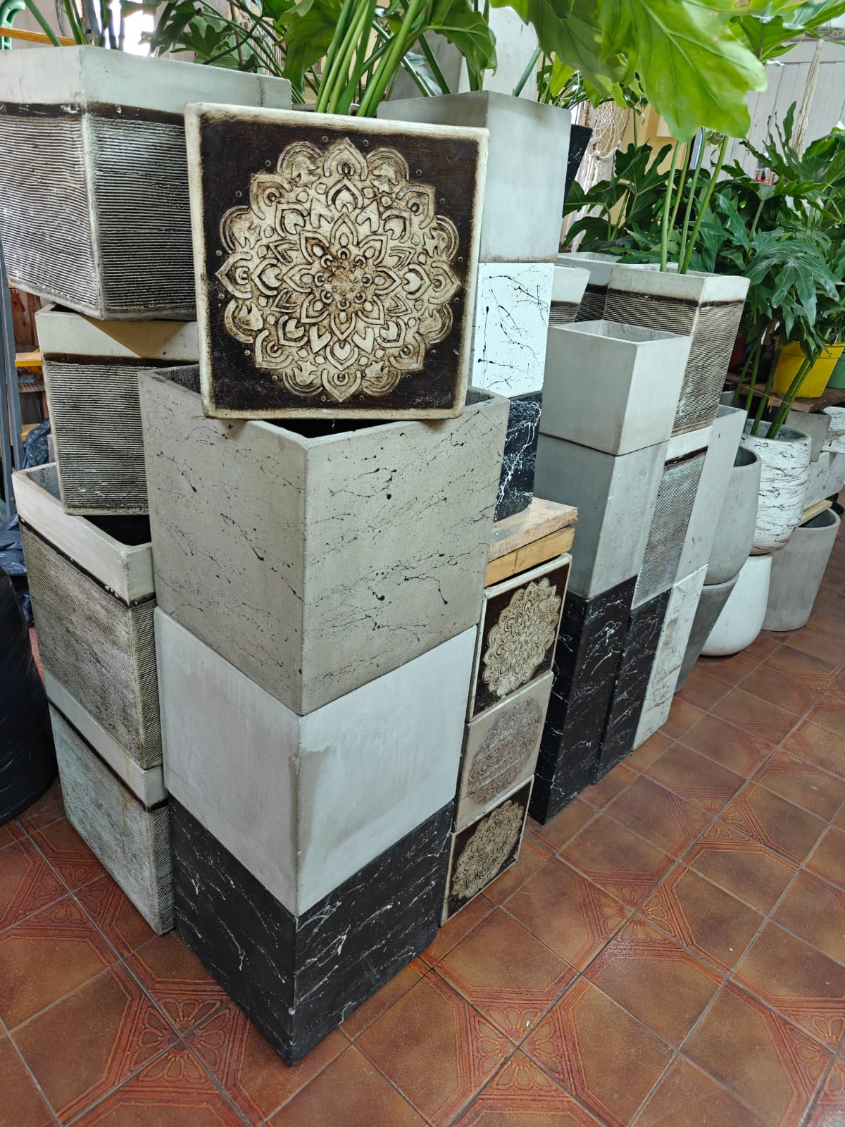 Macetas decorativas y plantas de Tika Vivero