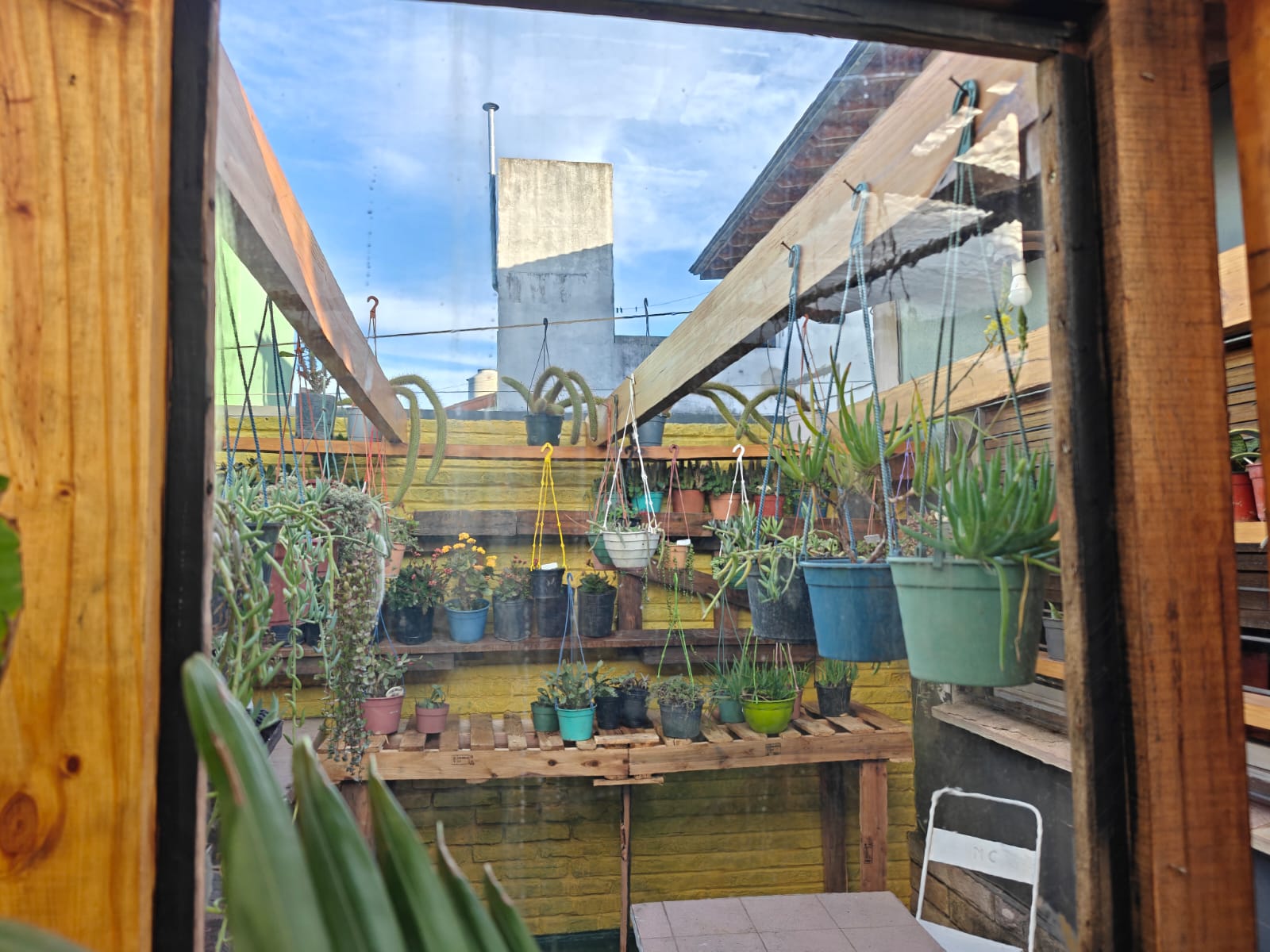 Sector exterior con plantas de Tika Vivero